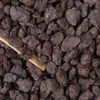 Fósil de té al por mayor (plata rota) Té Pu'er de Yunnan aroma a arroz glutinoso aroma glutinoso té cocido Menghai cabeza de té vieja