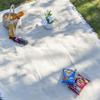 Estera de picnic estilo nórdico ins alfombra a prueba de humedad engrosada camping exterior alfombrilla de suelo portátil alfombrilla para césped alfombrilla plegable