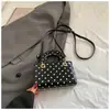 Bolsas de Bolinhas de Nicho Femininas 2026 Primavera Nova Estilosa de Alto Valor Bolsa Transversal Bolsa de Mão Exquisita Pequena para Levar Tudo
