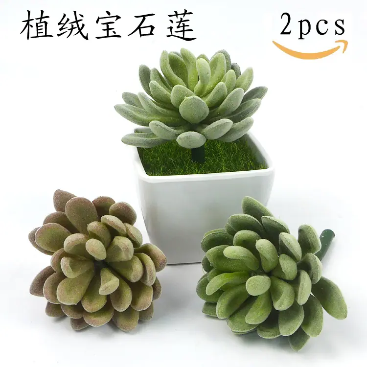 植毛宝石莲-新-主图1