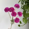 Crisantemo Artificial de 6 Cabezas, Crisantemo Artificial Ping Pong, Flor de Seda para Decoración de Bodas, Flor Artificial de Diente de León, Crisantemo Artificial de Bola, Flor de Bola de Cebolla