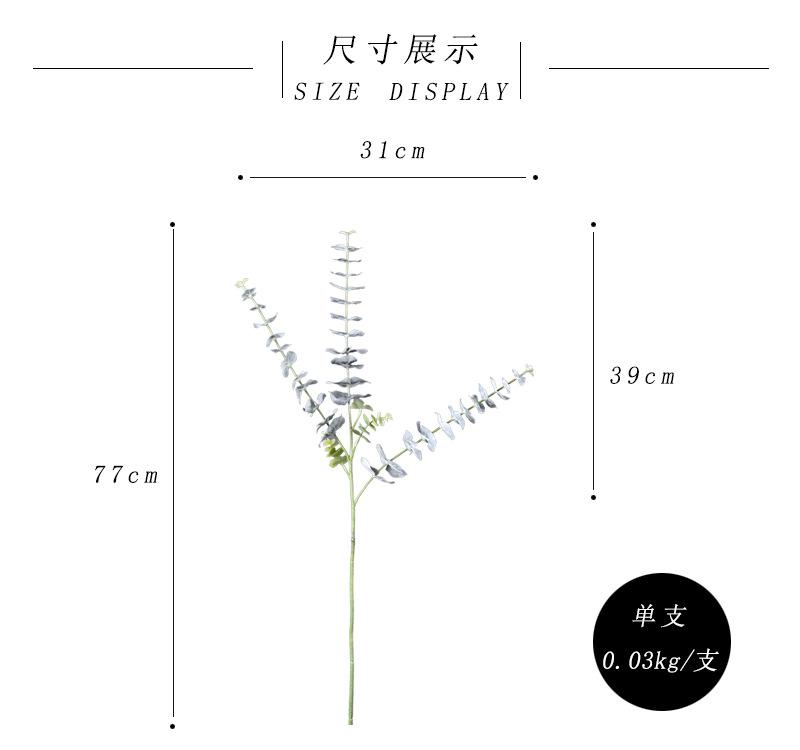尺寸展示-绿色.jpg