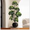 Simulación Planta Verde Pata de Pato Madera Lujo Ligero de Alta Gama Interior Sala de Estar Planta Verde Artificial en Maceta Planta Biónica Adornos Decorativos de Piso