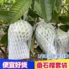 Bolsa de manga de pera red a prueba de insectos bolsa neta integrada para guayaba manga de red de espuma para frutas 100 juegos bolsa al por mayor otro
