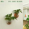 Maceta Acrílica de Pared Hidropónica para Pothos, Botella, Colgante de Pared, Pecera, Decoración de Pared, Restaurante, Sala de Estar, Pared de Fondo, Maceta