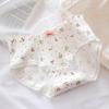 Doce laço de renda borda pequena linha floral cueca feminina de algodão virilha cintura média quadril-enrolado cuecas menina atacado