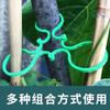 Fábrica atacado jardinagem 8 caracteres fivela trepadeira videira verde planta fixação clipe planta vegetal amarração gravata oito caracteres fixação fivela