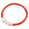 Suministros para mascotas Collar luminoso LED para perros Collar para perros Collar luminoso para perros Collar para perros pequeños y medianos Collar para mascotas