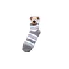 Meias de Veludo Coral para Filhotes de Cachorro para Mulheres no Outono e Inverno Meias Quentes para Casa Meias de Meia-Calça Grossas com Forro de Lã Desenho Animado Estéreo
