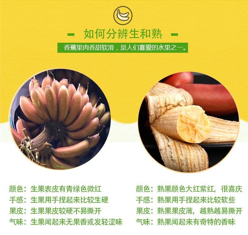 红美人香蕉_11.jpg
