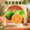 Hubei Yichang Tangerinas Mel Dropshipping 3/5/9 Jin Tangerinas 50-60mm Caixa Inteira Ingredientes Familiares Fruta Fresca