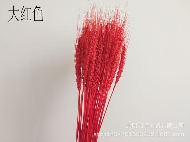 QQ图片20190523121241.jpg