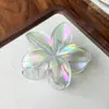 El más vendido en Europa y América, accesorio para el cabello de ABS con moderno color degradado, pinza de flor de plumeria, pinza versátil floral para coleta y pasador para recogido