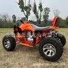 Vehículo de Playa Todoterreno de 250cc Tracción en Dos Ruedas Vehículo de Playa Todoterreno Kart Todoterreno Motocicleta ATV Eléctrico