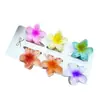 Clipes de Cabelo Coloridos de Flor de Plumeria de 4cm Mais Vendidos na Europa e América, Grampos de Cabelo Florais Transfronteiriços, Acessórios de Cabelo da Moda para Festas na Parte de Trás da Cabeça