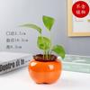 Grande Gedali Desktop Ornamentos Decorativos Recipiente Criativo Vaso Laranja Cerâmica Vaso de Flores Hidropônico Verde Arochus Planta Hidropônica