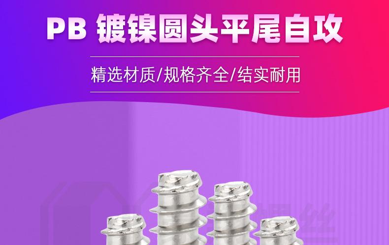 镀镍圆头平尾自攻白_01.jpg
