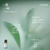 Líquido de Relleno de Aceite Esencial de Plantas de Aromaterapia de 15 ml para Difusor de Piedra de Yeso, Adornos Aromáticos, Especializado para Uso en Interiores, Fragancia de Alta Gama y Larga Duración