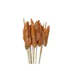 Brochetas pequeñas al por mayor para barbacoa de mercado nocturno, selección completa de brochetas calientes y frías, brochetas fritas, productos semiacabados, pollo Bobo y brochetas de cordero