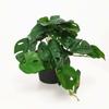 Hoja de Sandía Hoja de Begonia Bambú de Espalda de Tortuga Bambú Pequeño de Espalda de Tortuga Hoja de Rosa Verde Planta Verde de Simulación Planta Pequeña Mini Adornos Decorativos en Maceta