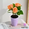 Flores Artificiales Premium, Rosas de Jardín de Tres Cabezas, Bonsái Pequeño, Flores de Seda, Flores Falsas, Decoraciones para Sala de Estar y Dormitorio, Juego de Mesa