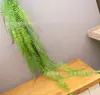 Helecho Colgante Estilo Bosque Techo Pared Verde Planta Decoración Enredadera Tipo Hilo Colgante de Helecho