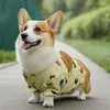 Pantalones Impermeables y a Prueba de Polvo con Estampado Completo de Perro Oso Corgi de Cuatro Estaciones para Perros Pequeños y Medianos Ropa Protectora Anti-Suciedad para Exteriores Ropa para Perros Mascotas