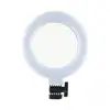 Luz de Relleno Especial para Presentador de Transmisión en Vivo, Luz de Anillo de Escritorio para Belleza, Iluminación Profesional para Retratos y Naturaleza Muerta, Luz de Iluminación Profesional para Teléfono Móvil