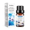 Humidificador soluble en agua transfronterizo de 10 ml, aceite esencial de aromaterapia, aceite esencial de aromaterapia de lavanda y rosa, fábrica de aceite esencial de aromaterapia al por mayor