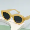 Óculos de Sol Antirreflexo Moda Europeia e Americana 2022 Novo Transfronteiriço Óculos Tendência para Fotografia de Rua Retrô Venda Direta da Fábrica
