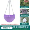Maceta Chlorophytum para balcón, planta en maceta colgante con gancho, maceta colgante pequeña para suculentas de interior, maceta cesta colgante de plástico