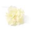 Cabeças de Flores de Cravo Simuladas com Bordas Queimadas, Flores Artificiais, Materiais para DIY, Guirlandas Feitas à Mão, Acessórios para Cabeça, Decoração para Sala de Estar, Flores Artificiais