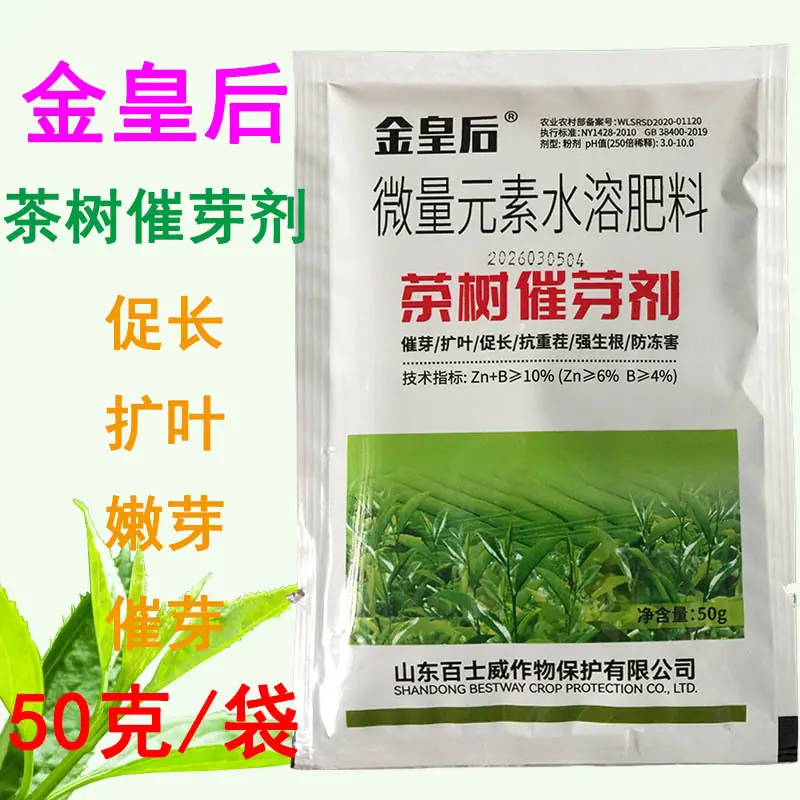 金黄后茶树催芽剂50克1