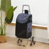 Carrito de Compras de Acero Inoxidable, Carrito Trepador de Escaleras, Carrito Grande Plegable para el Hogar para Personas Mayores, Carrito de Arrastre Manual