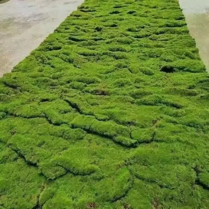 QQ图片20240608090303