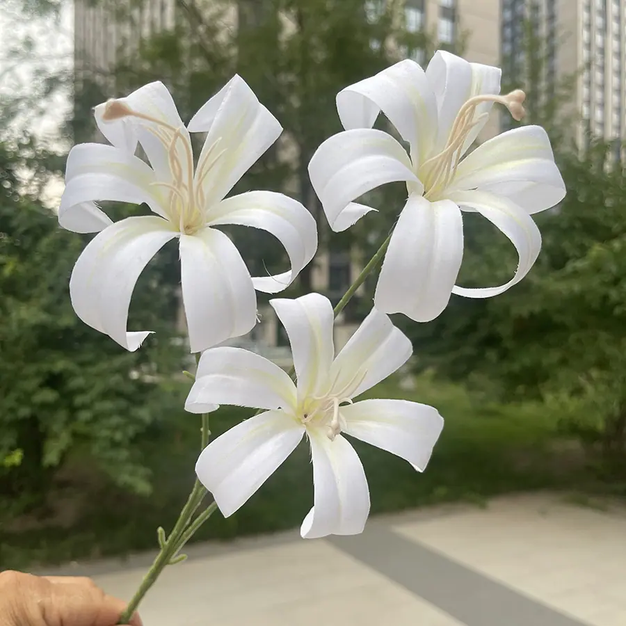 3头铸筋金玉百合-白色.JPG