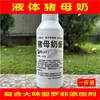 Aditivo de Piña Roli para Pesca Salvaje de Foso Negro, Leche de Cerdo Naranja Universal con Aroma para Aguas Negras, Personalizado Especialmente para Tiendas de Artículos de Pesca 0.5 kg