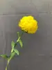 Pegamento Blando Simulación Clavel Bola de Cebolla Única Nuevo Estilo Chino Diente de León Suculenta Hortensia Fruta Jardín Verde Plantación Floricultura Material de Combinación