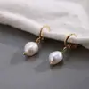 Brincos Pequenos de Argola Dourados com Zircônia Europeus e Americanos da Amazon, Brincos Criativos Elegantes para Mulheres em Formato de Cobra com Flores