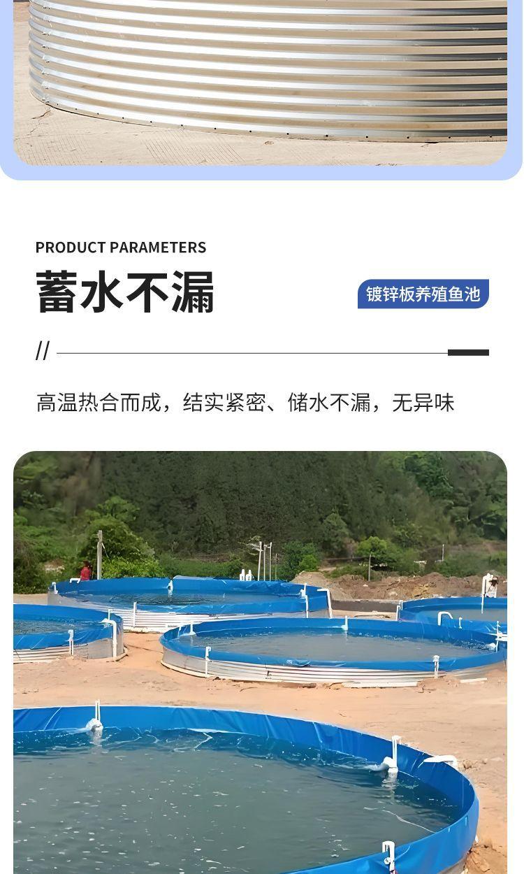 详情6