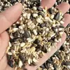 Pájaro Monje Sol loro Comida para Pájaros Alimento Especial Monje para Pájaros Comida Mixta Cinco en Uno Semilla para Pinzón