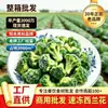 Directamente del fabricante: Brócoli Congelado Rápido, Sin Lavar, 0 Aditivos, Coliflor Verde, Verduras Limpias Semiacabadas, Brócoli Congelado al Por Mayor