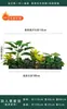 Flores Artificiais Plantas Verdes Conjunto de Divisória Decorativa Flores de Plástico e Seda Decoração de Paisagismo Arranjo de Paisagem Exibição de Janela Interna