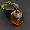 Cadena para Suéter de Cera de Abejas Ámbar Imitación Incrustada con Conchas Fósiles de Plantas Collares de Moda para Hombres y Mujeres Accesorios de Transmisión en Vivo de Exposición