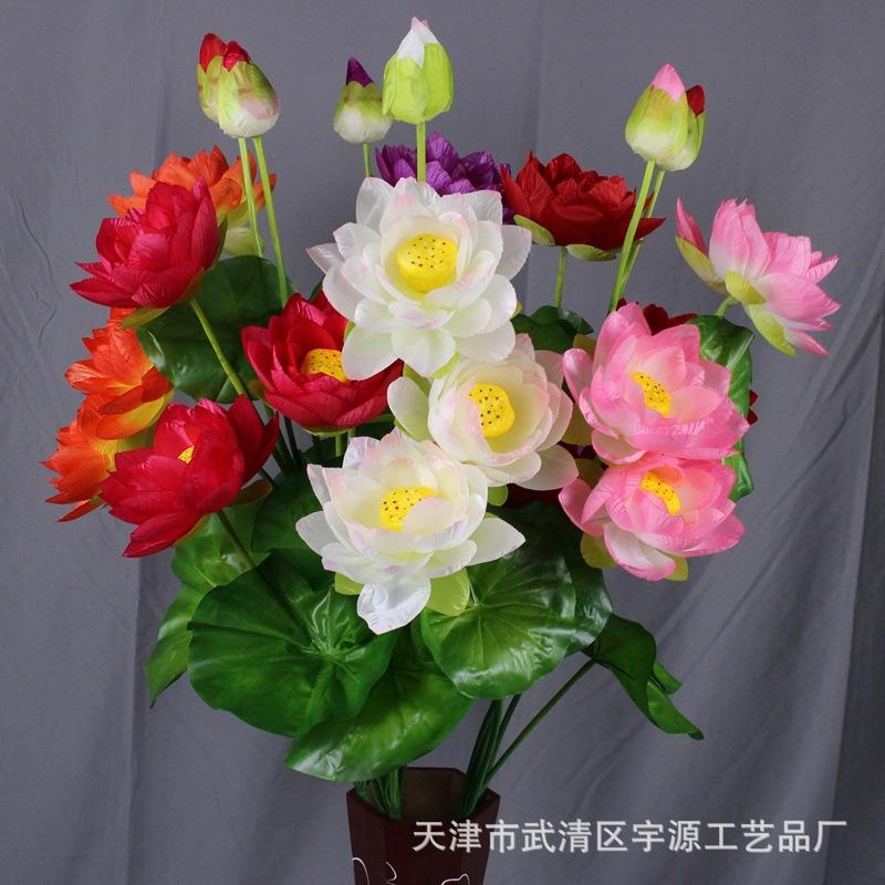 IMG_6010_副本.jpg