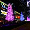 Venta al por mayor de fábrica Lámpara de árbol de flor de cerezo de hierro LED Altura Multicolor Opcional Impermeable para exteriores Ingeniería de parque Paisaje Luminoso