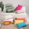 Fundas de Almohada Decorativas para el Hogar Minimalistas Nuevas Cuidadosamente Seleccionadas, Color Sólido Felpa de Terciopelo Cómodas y Refrescantes Fundas de Almohada para Sofá y Ventana de Mirador