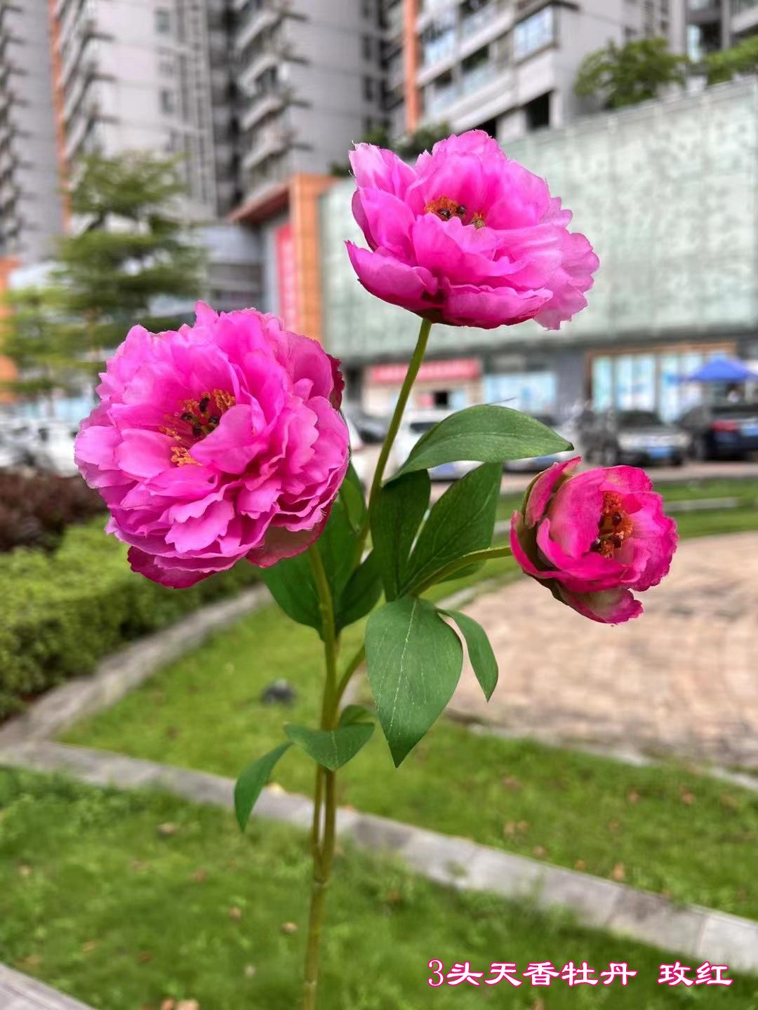 微信图片_20230702182051.jpg
