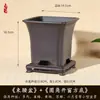 Vaso alto para árvore rica, aspargo, orquídea phalaenopsis, galhos dourados e folhas de jade, plantas em vaso especiais, bonsai, vaso de plástico quadrado