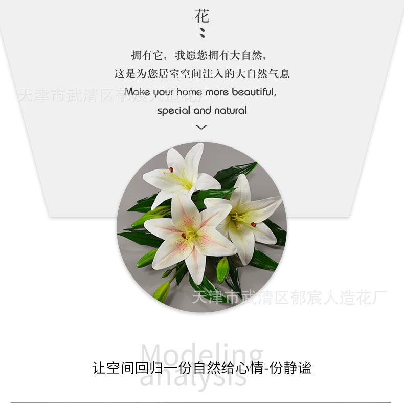 详情_06.jpg